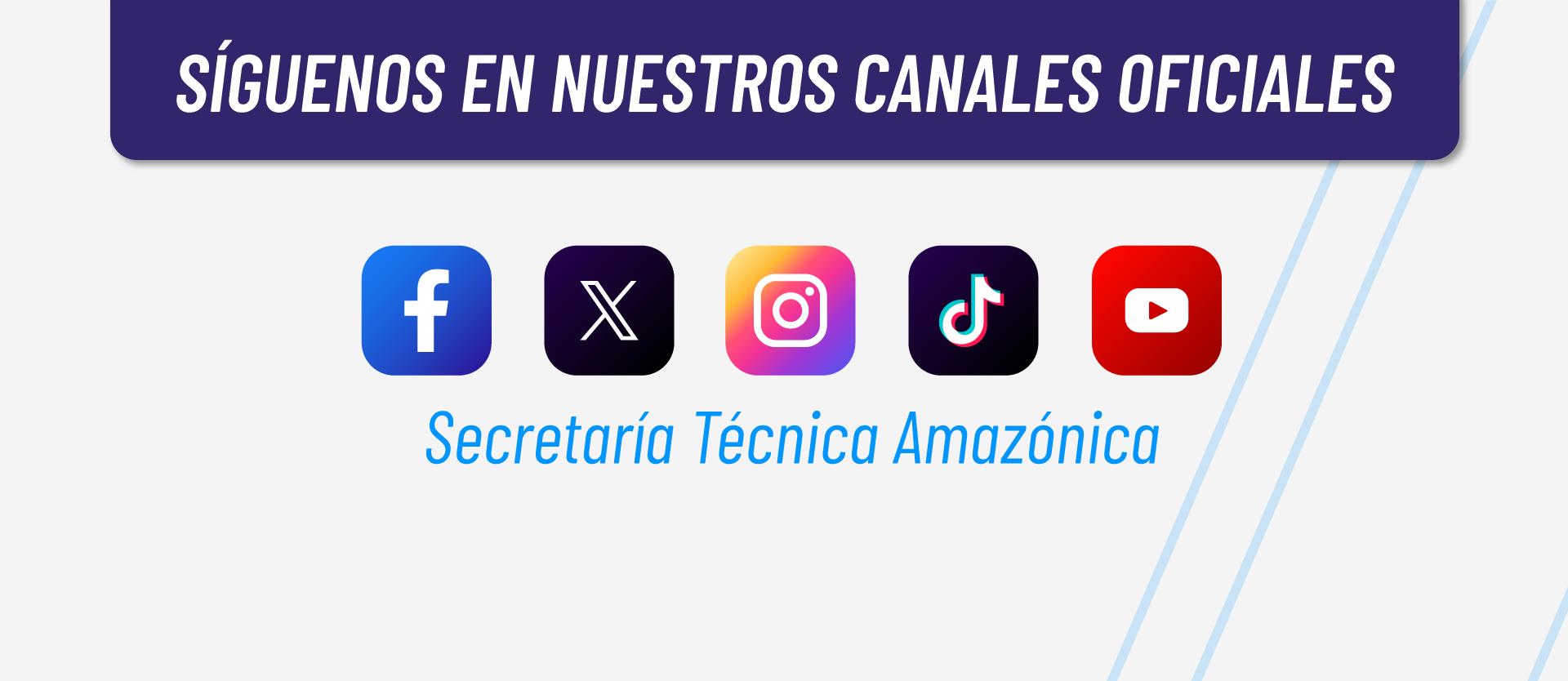 Conoce nuestras actividades diarias haciendo click aquí.